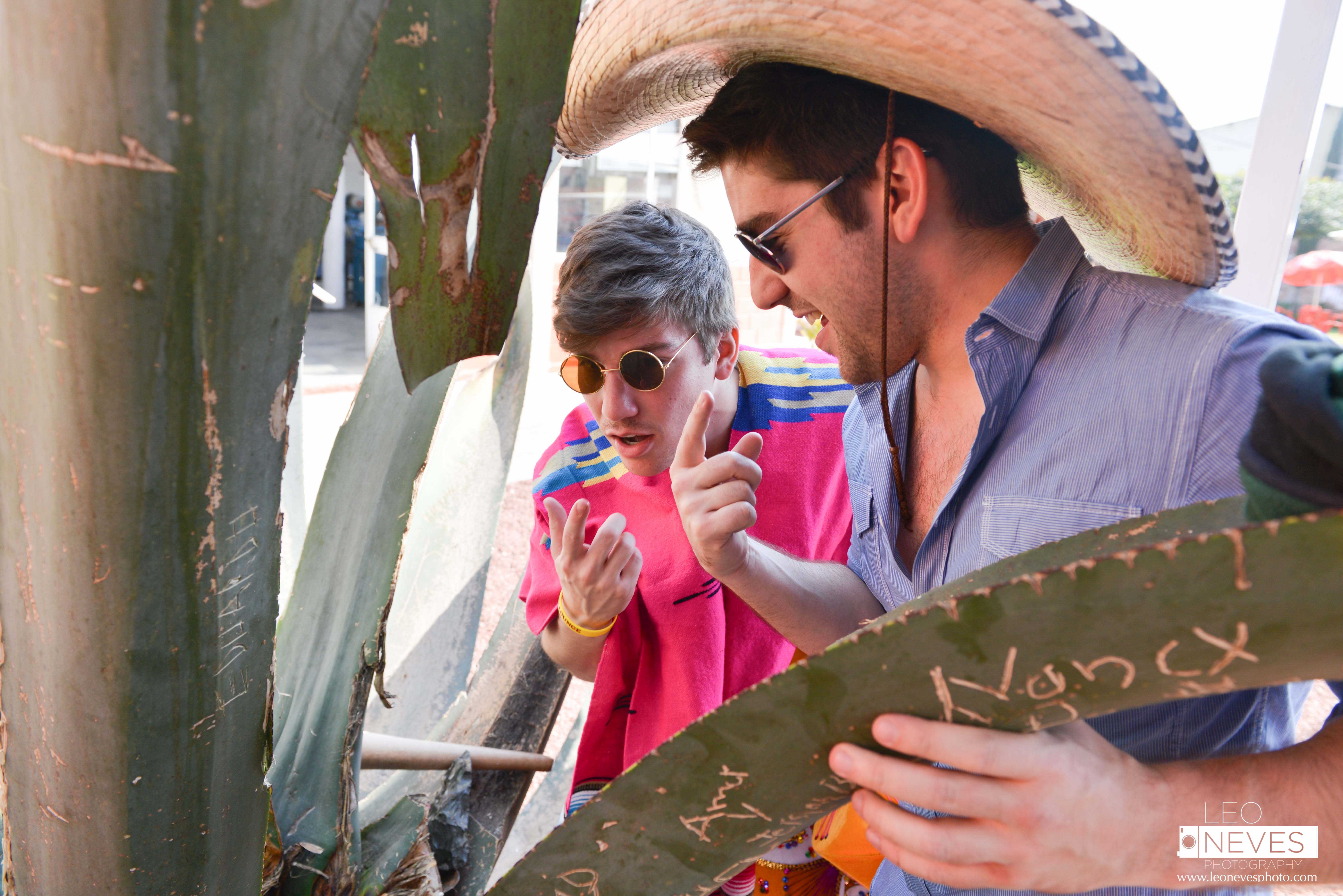The fermented juice from the agave plant turns into Pulque, which is one of the world's earliest forms of liquor and an aphrodisiac!