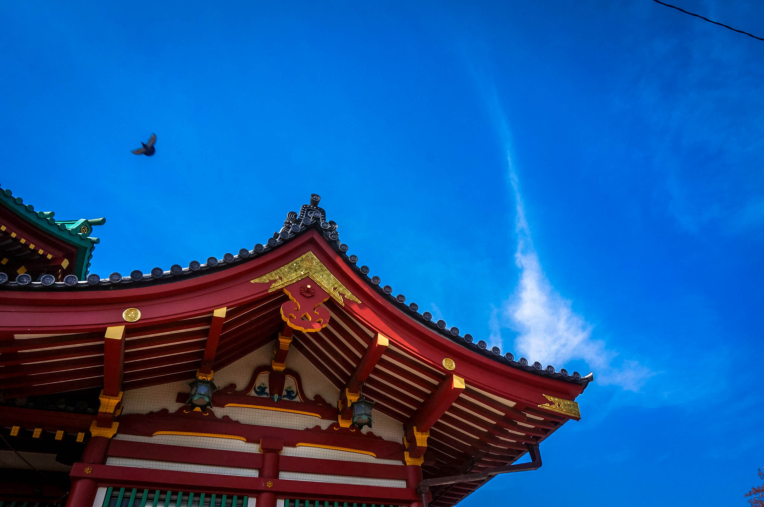 Clear Blue Skies