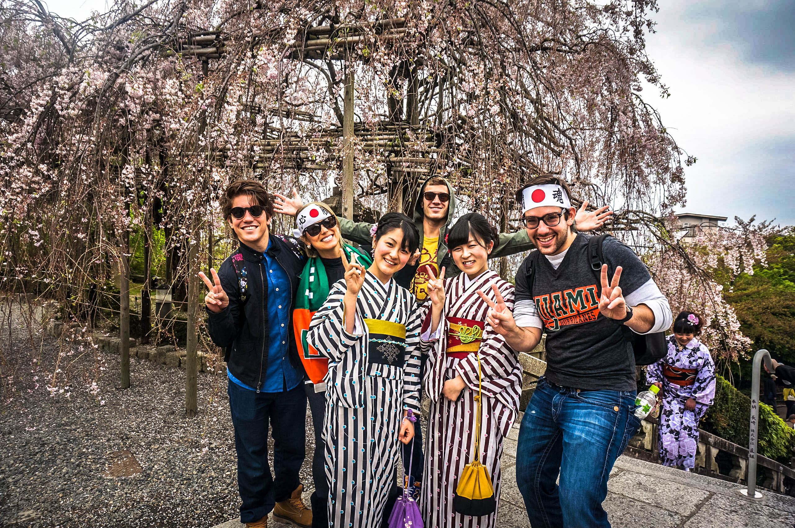 Geishas and Cherry Blossoms