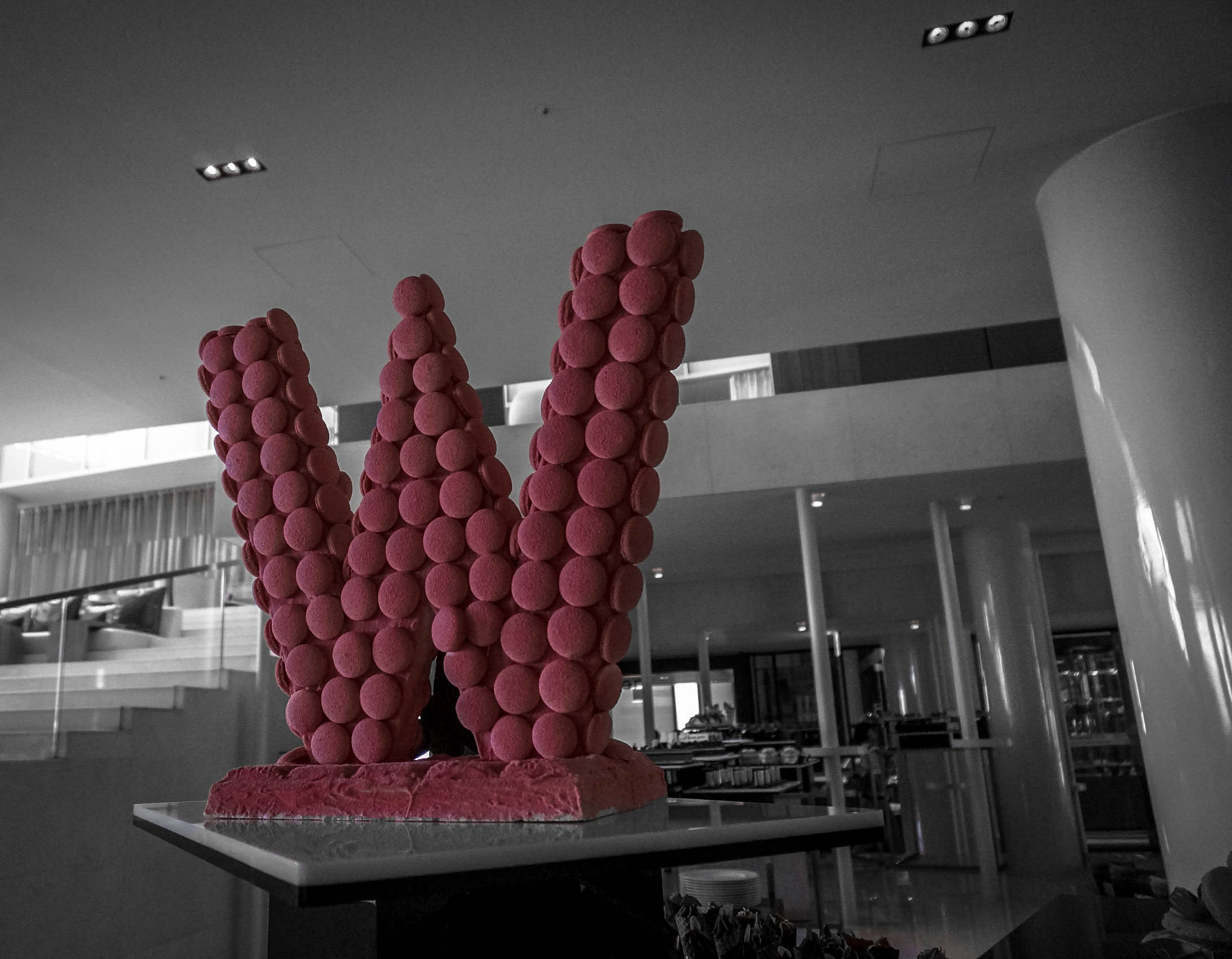 The W: Macaroon Style