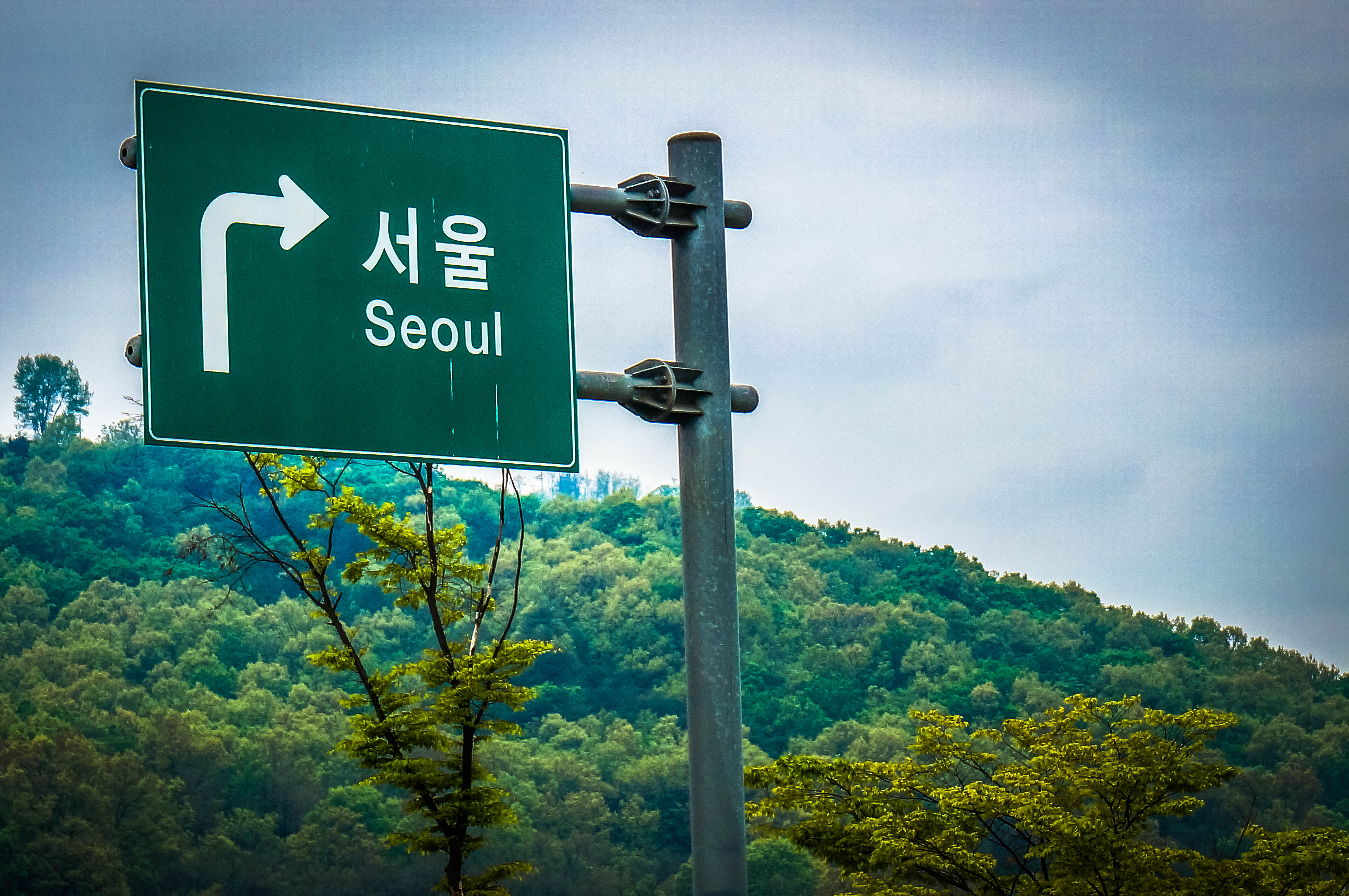 Long Way from Seoul