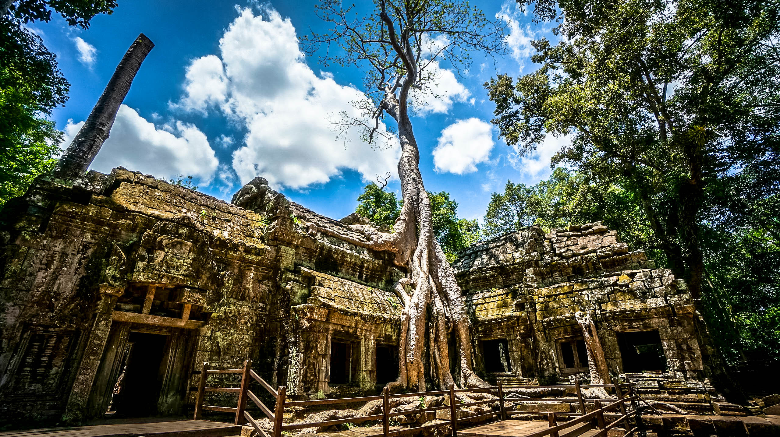 Ta Prohm Temple