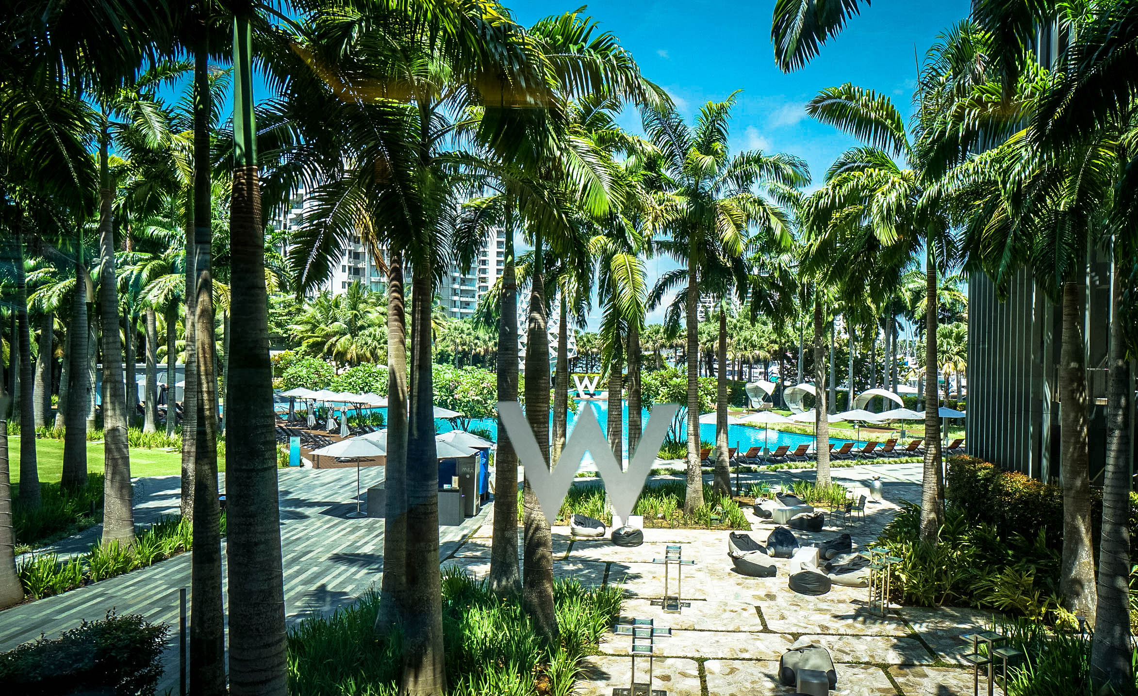 The W in Paradise