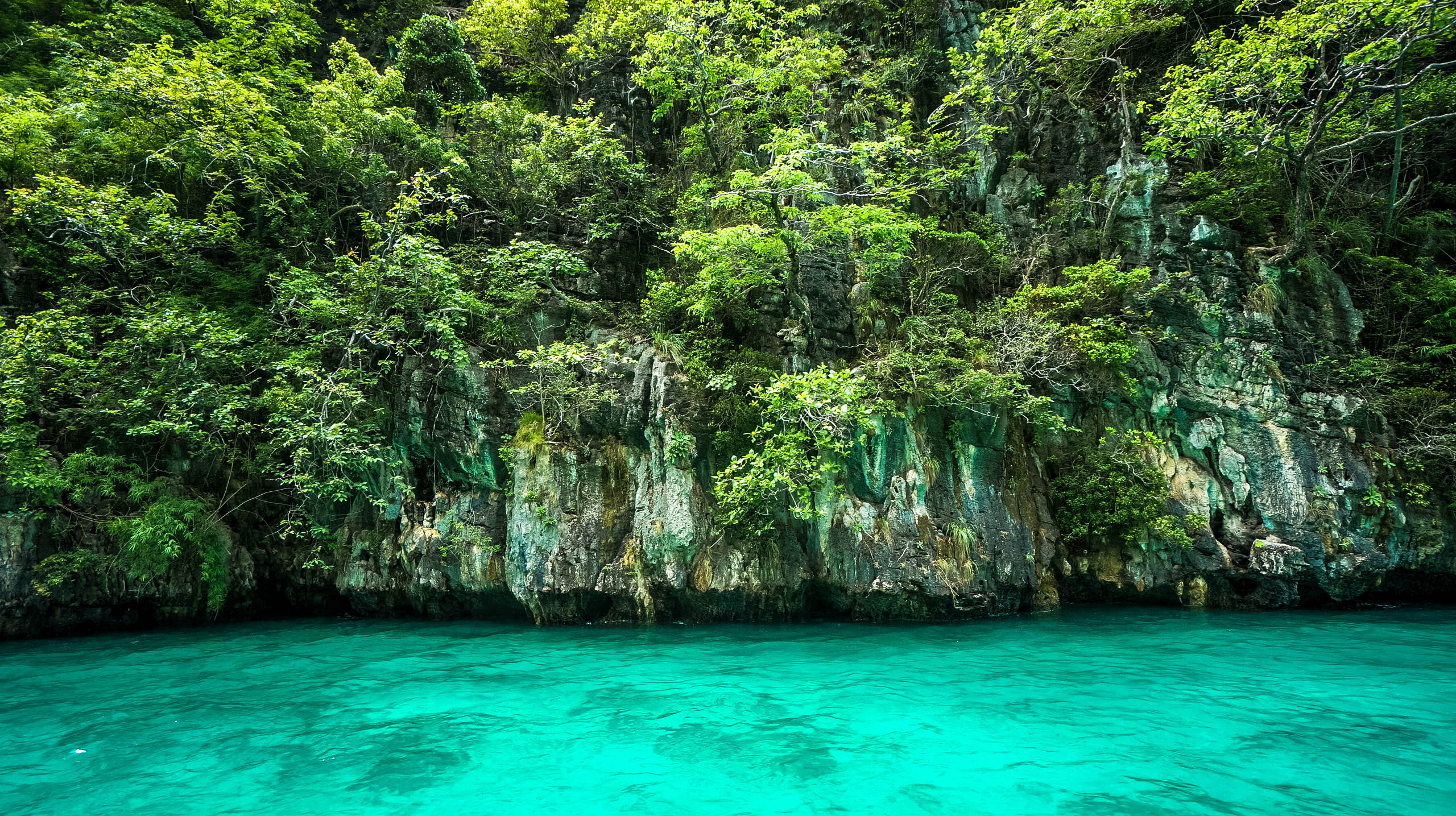 Surreal Colors