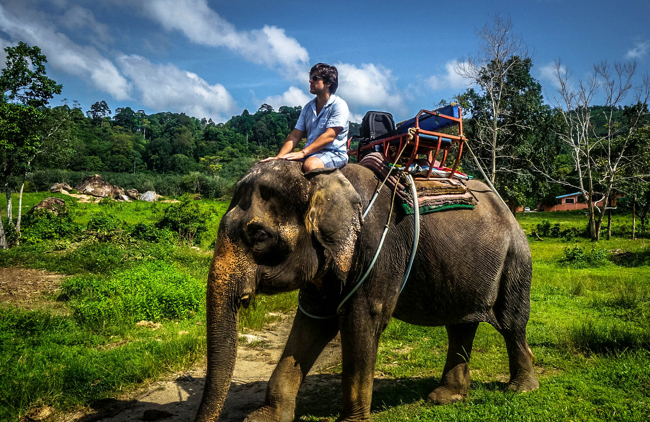 Um... Am I Riding that Elephant Myself?