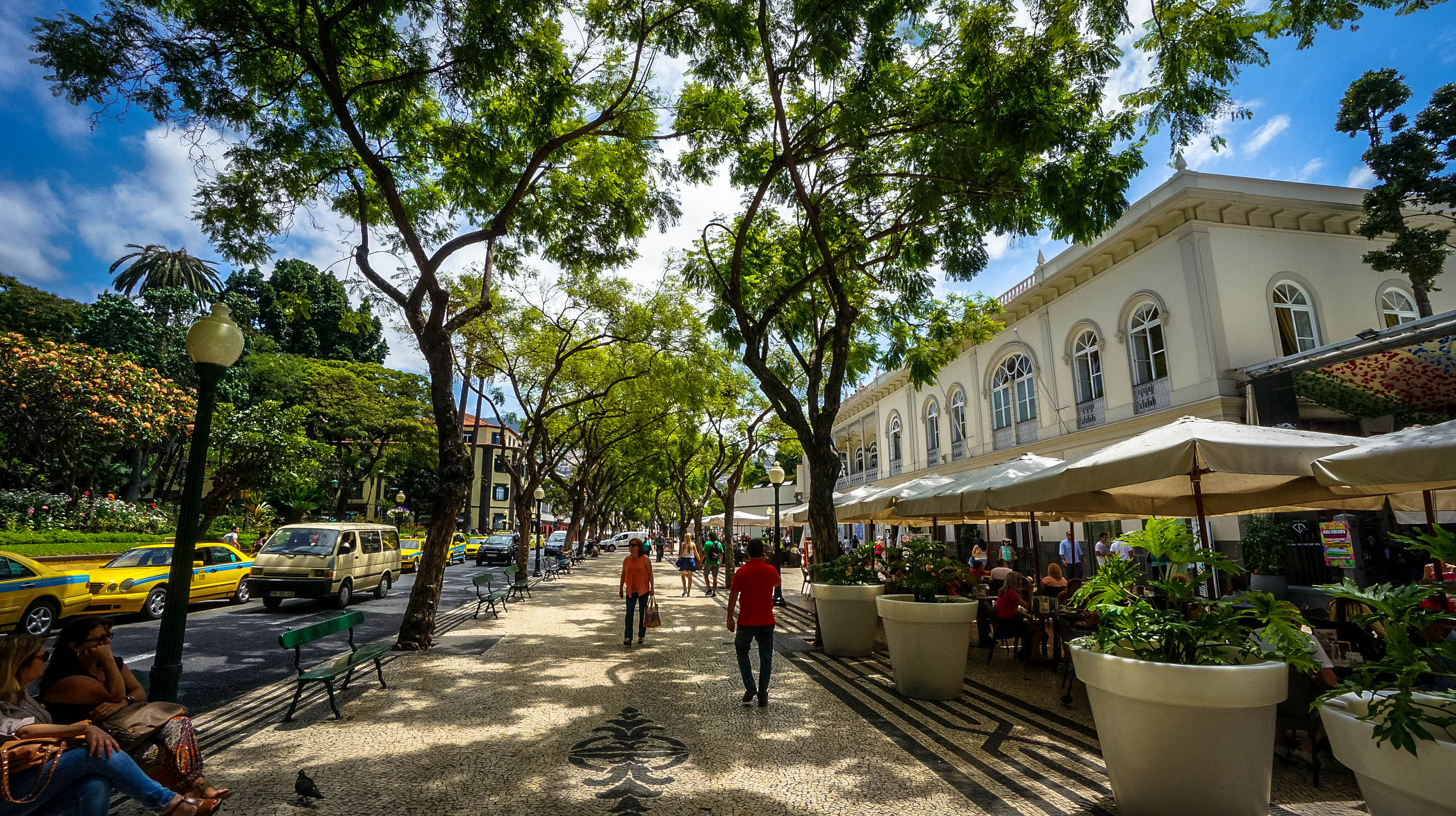 The Main Avenue