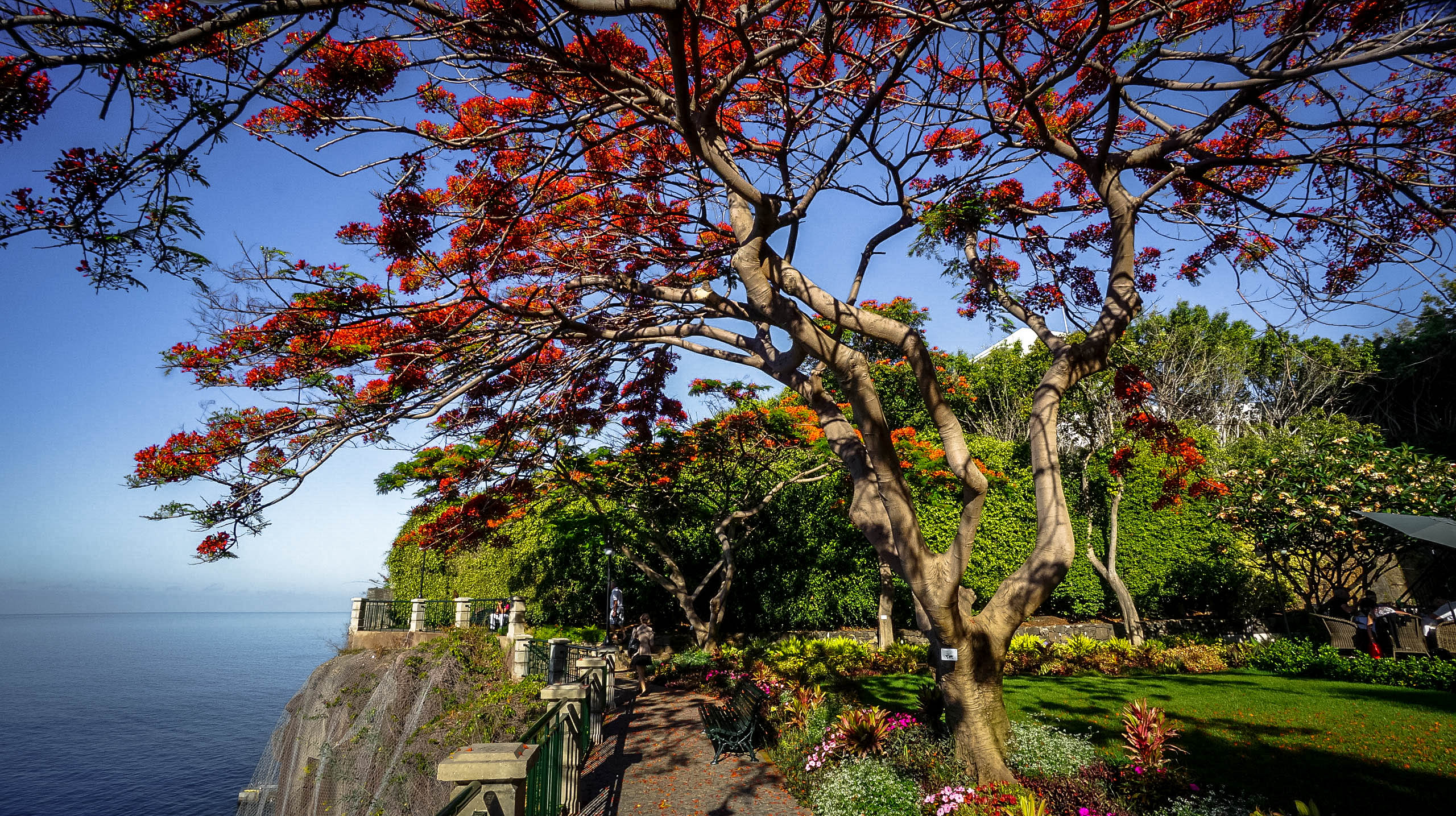 Cliffside Beauty
