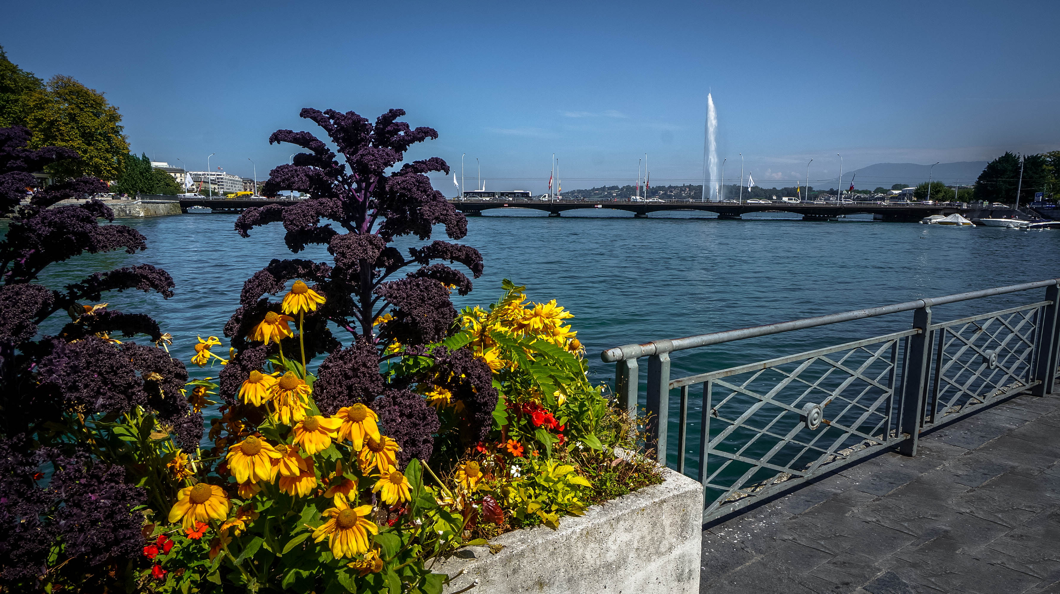 The Jet d'Eau