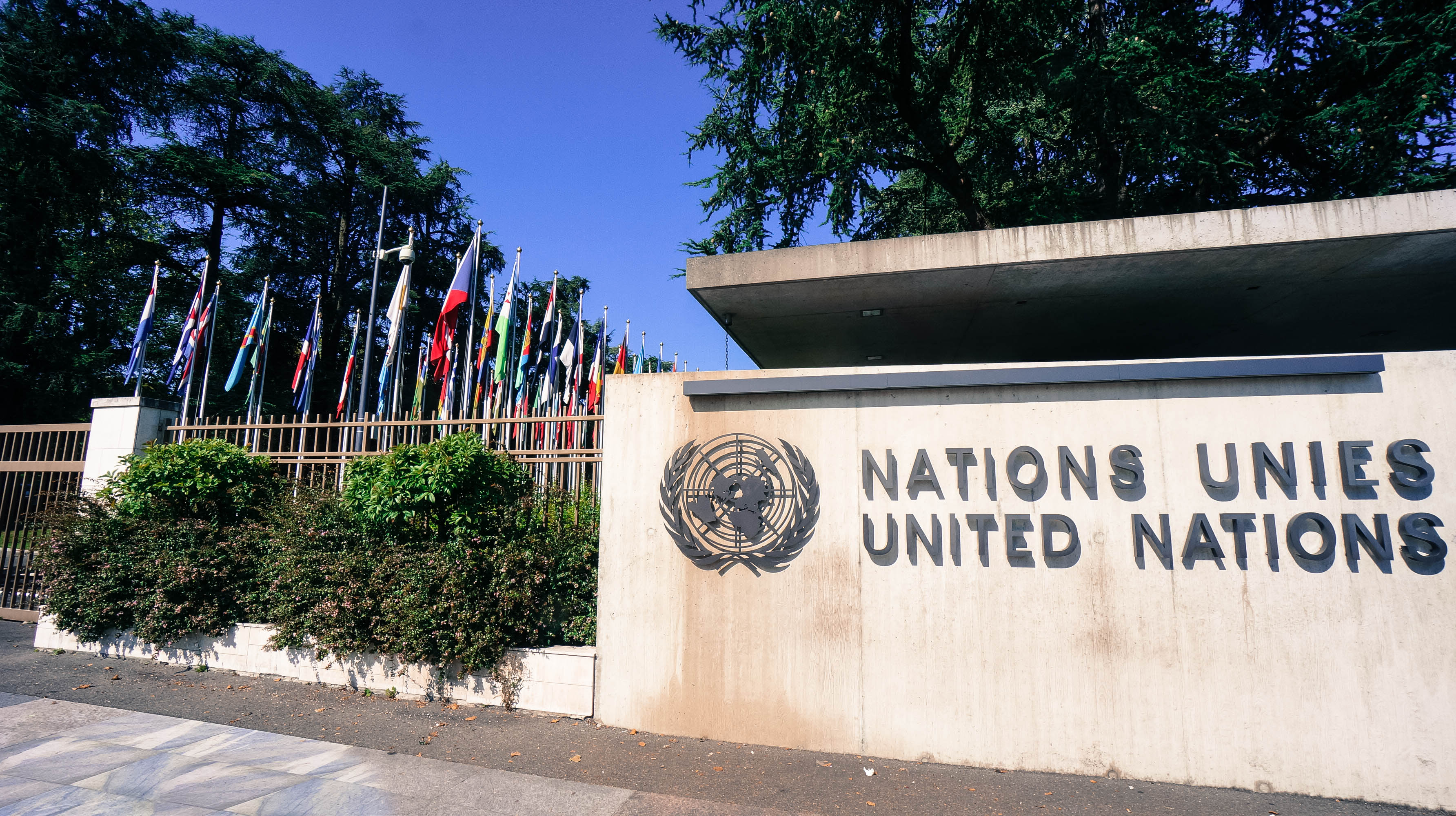 Picture Perfect @ the UN