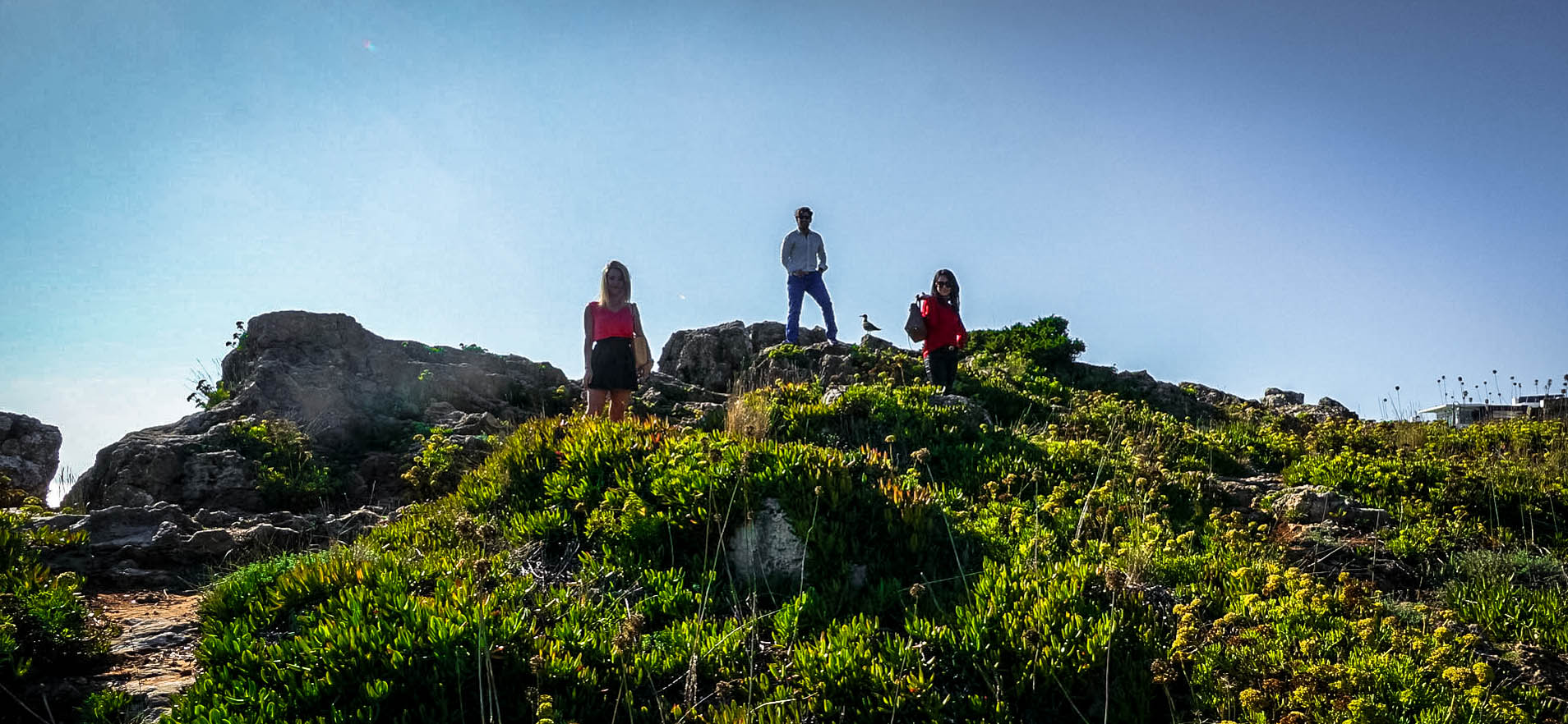 King of The Hill